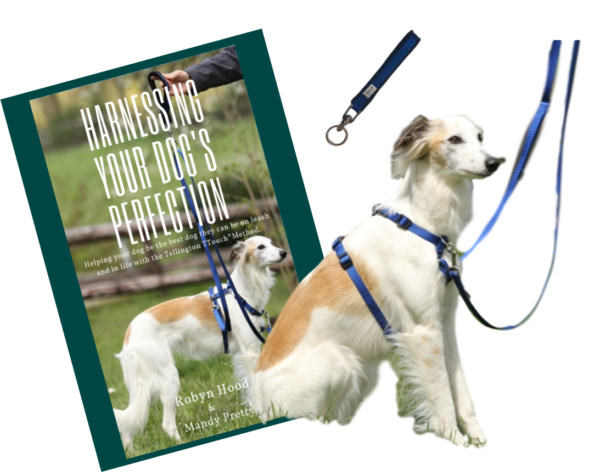TTouch Harness Active Pet Rehab